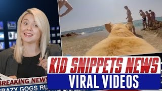 Kid Snippets News quotViral Videosquot Imagined by Kids [upl. by Jansen]