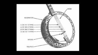 How To Hold amp Tune The Plectrum Banjo with Eddie Peabody [upl. by Yraht784]