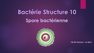 Bactérie Structure 10 SPORE BACTERIENNE [upl. by Mccurdy990]