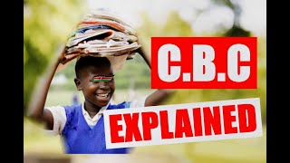 CBC Explained  Is Kenya Ready for a COMPETENCY BASED CURRICULUM [upl. by Darcia]