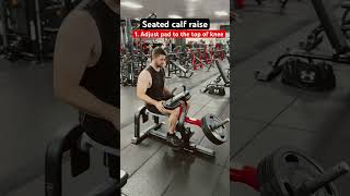 Seated calf raise  Movement technique video [upl. by Nemzzaj]