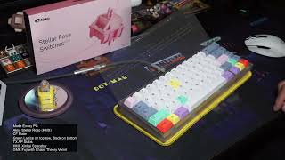 Akko Stellar Rose  Mode Envoy PC  CF Plate  GMK  No Foam  Soundtest [upl. by Anuaik]