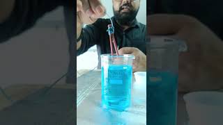 Copper Sulphate vs IRON class10 experiment science shorts sjw chemical shortsvideo [upl. by Htesil]