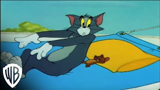 Tom and Jerry In the Dog House  quotCat Nappingquot  Tree  Warner Bros Entertainment [upl. by Lessard]