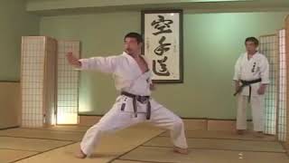 Tekki Nidan BUNKAI APLICAÇÃO Kanazawa [upl. by Lluj]