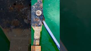 sovereignharbourmarina Eastbourne lock gates hydraulic rams amp hinges [upl. by Olaf]