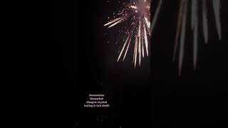 Biggest skyshot 🎆🎇6inch shell from Coronation fireworks Dragon skyshotDiwali 2024Youtube shorts [upl. by Yenoh919]