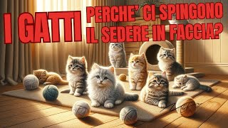 CuriositÃ sui gatti [upl. by Dory875]