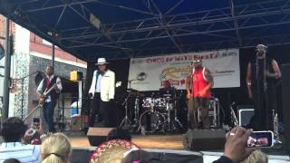 Whos Bad Michael Jackson Tribute Band Florence SC [upl. by Yatnwahs]