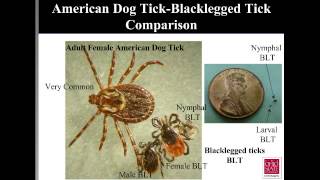 Emerging Tickborne Diseases Lyme Disease the Blacklegged Tick and More [upl. by Catarina]