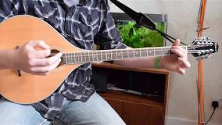 Beginner Irish Bouzouki Lesson  Chords in the key of D [upl. by Annait433]