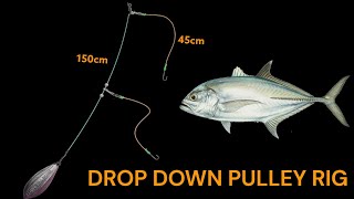 Drop down pulley rig  How to make fishing rigs [upl. by Amrak136]