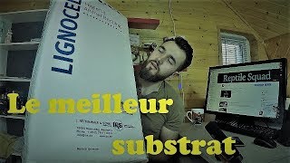 LE MEILLEUR SUBSTRAT AU MONDE  REPTILE SQUAD [upl. by Glick]