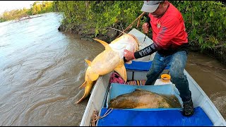 Pescando con carnadas de 1 kilo  pesca con carnadas gigantes [upl. by Bil]