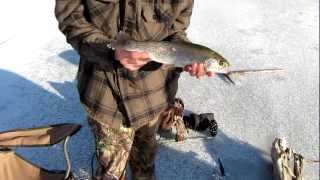 Winchester Lake Ice Fishing [upl. by Balkin63]