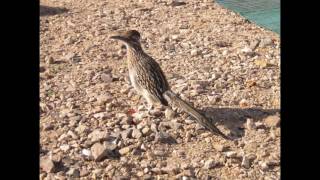 RV Camping in Quartzsite Arizona [upl. by Noach19]