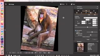 Digital Photo Professional DPP 4 Editing Images [upl. by Randie312]