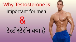 Testosterone क्या है Why Testosterone is Important for Men  रहो healthy [upl. by Simdars]