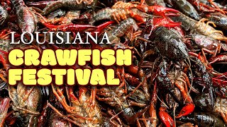 FOOD TOUR Through Louisianas LARGEST Crawfish Festival [upl. by Silra]