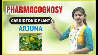 ArjunaTerminalia arjuna Pharmacognosy  Cardiotonic PlantChapter5  D Pharm Exit Exam ER2013T [upl. by Ammamaria]