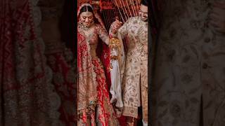 hansika motwani marriage  hansika motwani wedding video  hansika motwani marriage photos shorts [upl. by Amees]