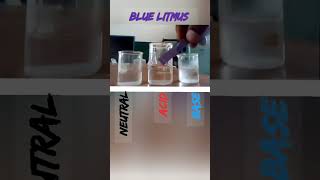 Litmus test for acid base and neutral solutions sciencebased science scienceexperiments [upl. by Obeng]