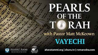 Pearls Of Torah for Parashat Vayechi [upl. by Wes]