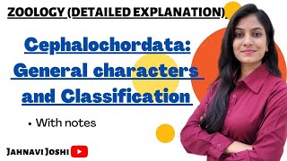 General Characteristics and Classification of Cephalochordata Notes Bsc 2nd year Zoology [upl. by Dnar]