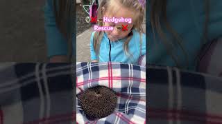 Hedgehog Rescue ❌🦔 hedgehog wildlife countrykids countrysidelife animalrescue twins twinnies [upl. by Yerfej]