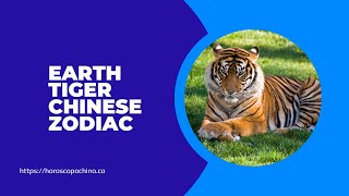 Earth tiger chinese zodiac [upl. by Yemar]