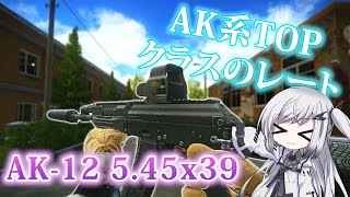 タルコフ Day2 AK12でPMCを6人キルした！ [upl. by Attiuqehs]