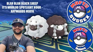 Bla Bla Black Sheep Its Wooloo Spotlight Hour in Pokemon Go [upl. by Oinimreh]