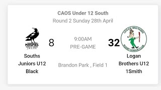 Souths Juniors U12 Black vs Logan Brothers U12 1Smith  Round 2  2024 [upl. by Jaycee]