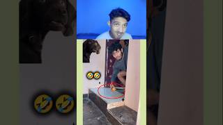 Try Not to Laugh Challenge 137🤣 funny shorts viral [upl. by Ichabod]