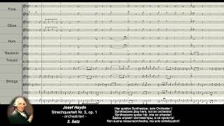 Haydn Digital Streichquartett Nr 3 opus 1  orchestriert [upl. by Aleel890]