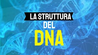 La struttura del DNA 🧬 [upl. by Snave]