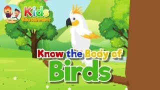 Know the body of Birds  Video Song for Kids Toddlers Preschoolers [upl. by Pasadis]