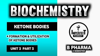 Formation And Utilisation Of Ketone Bodies  Ketogenesis  Ketolysis  Ketoacidosis  Ketone Bodies [upl. by Eatnom206]