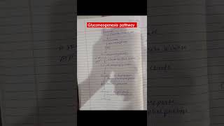 Gluconeogenesis pathway biochemistry 2nd semester bsc nursing shorts viralshorts CHO [upl. by Martina]