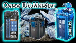 Oase Biomaster Thermo Unboxing and Setup The Best Aquarium Filter [upl. by Abbotsen429]