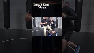 Israeli Krav Maga targets the bodys most vulnerable and painful points [upl. by Kwarteng]