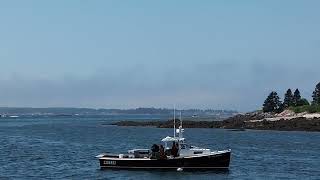 Lobster Fishing and Sailboats Jonesport Maine [upl. by Ycnuahc]