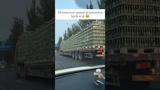 Dostim sen uchun 1 kamaz aroq🤣 50k obunabolishniunutmang kulgu [upl. by Naugal]