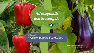 Warzywnik dla zielonych Uprawa bakłażana i papryki [upl. by Lanctot]