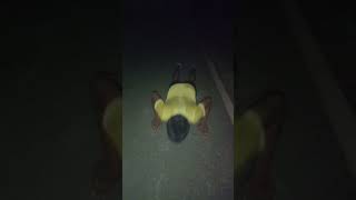 Night push up ytshorts fitness shotrs gym treanding [upl. by Ttenaej]