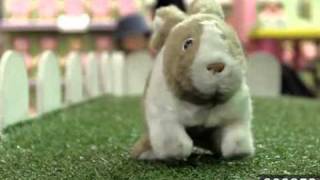 Hamleys  Rockin Rabbit [upl. by Beller]