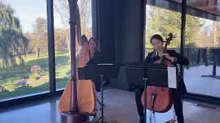 Can’t Help Falling in Love harp and cello duo  Tiffany Jones harpist [upl. by Aij]