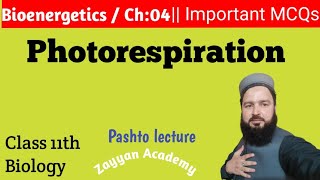 Photorespiration in Pashto  class 11th Biology chapter 04 Bioenergetics [upl. by Salinas]