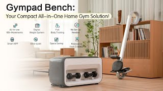 Now on Kickstarter Gympad Bench — Your Compact AllInOne Home Gym [upl. by Adnopoz]