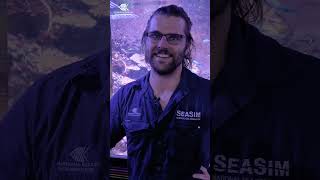 From an aquarist what makes marine science great [upl. by Baerl]